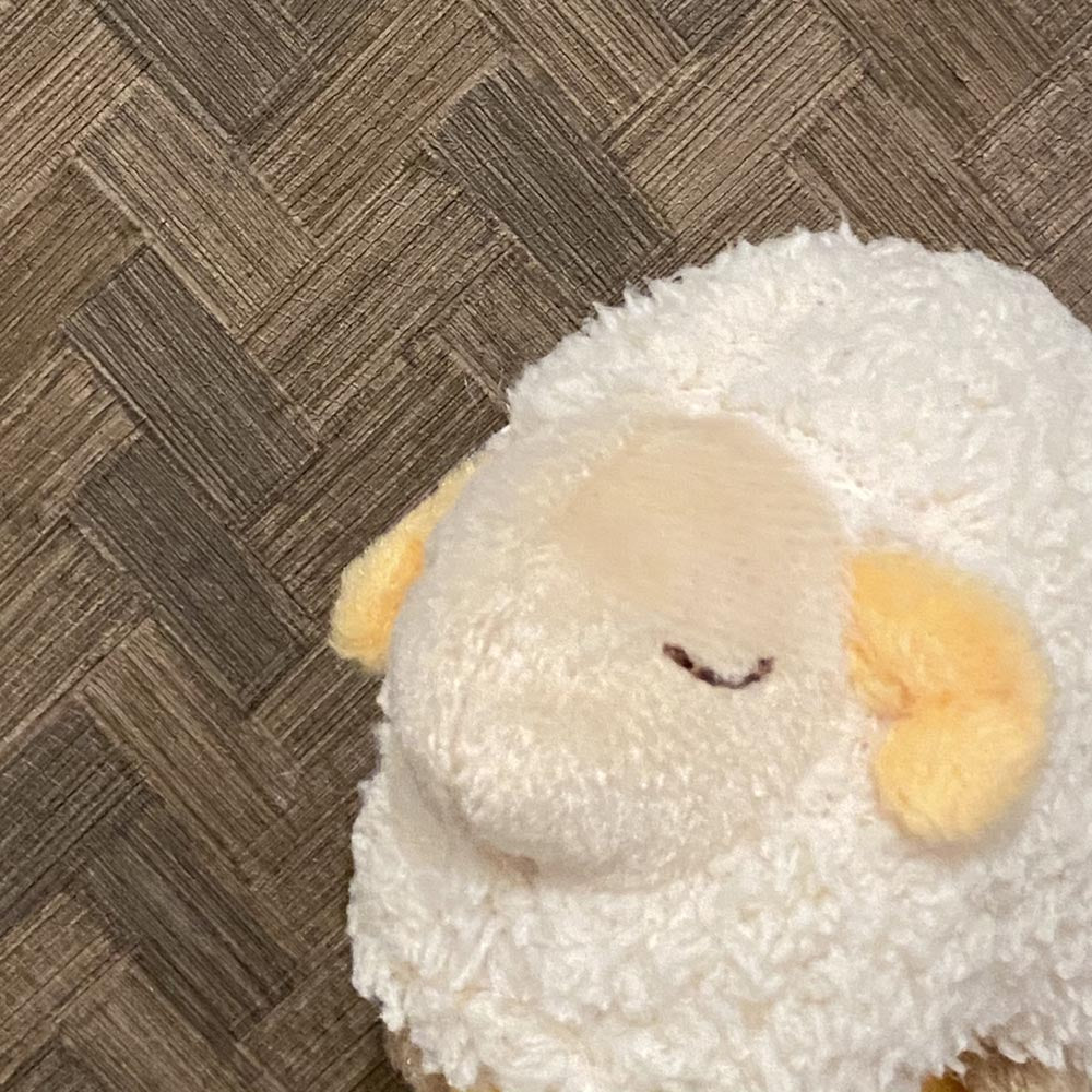 ウールはすごい!